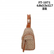 Ft1071 br